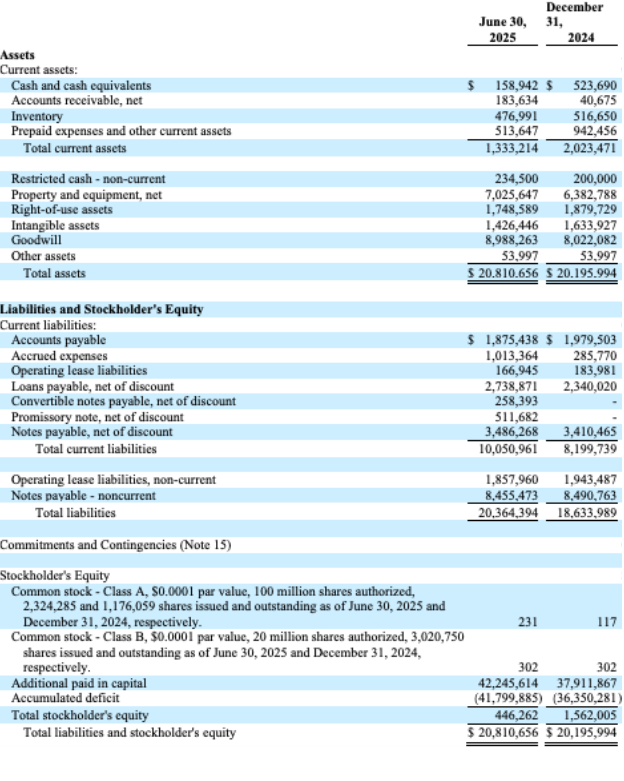 Inspire Veterinary Partners Reports Second Quarter 2025 Financial Results